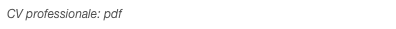 CV professionale: pdf